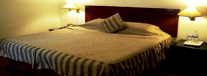 502/Golden Tulip - Manali 07.jpg